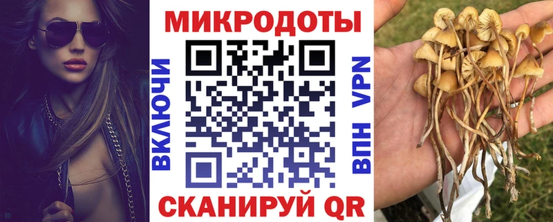 Галлюциногенные грибы мицелий Павловск